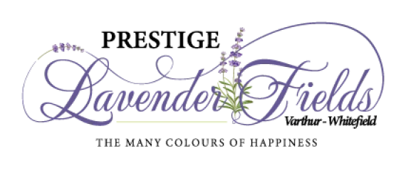 Prestige Lavender Fields